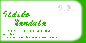 ildiko mandula business card